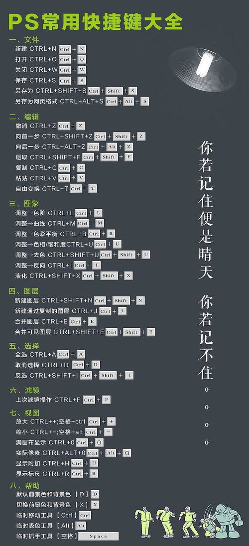 SAI與PS繪畫(huà)入門(mén) 核心功能詳解與軟件服務(wù)對(duì)比